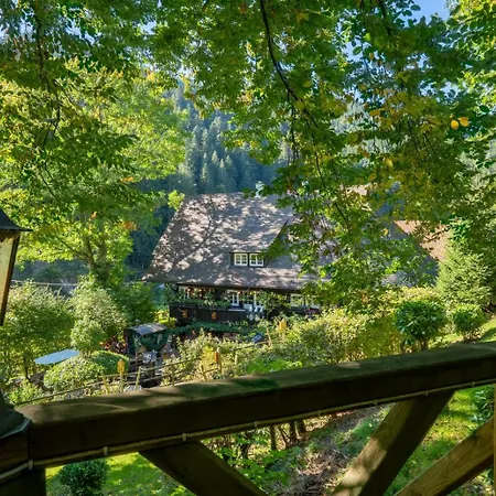 Schwarzwaldhaus Wolftal - Historisches Jagdanwesen, Park Und Wildbach Im Schwarzwald * Bad Rippoldsau-Schapbach